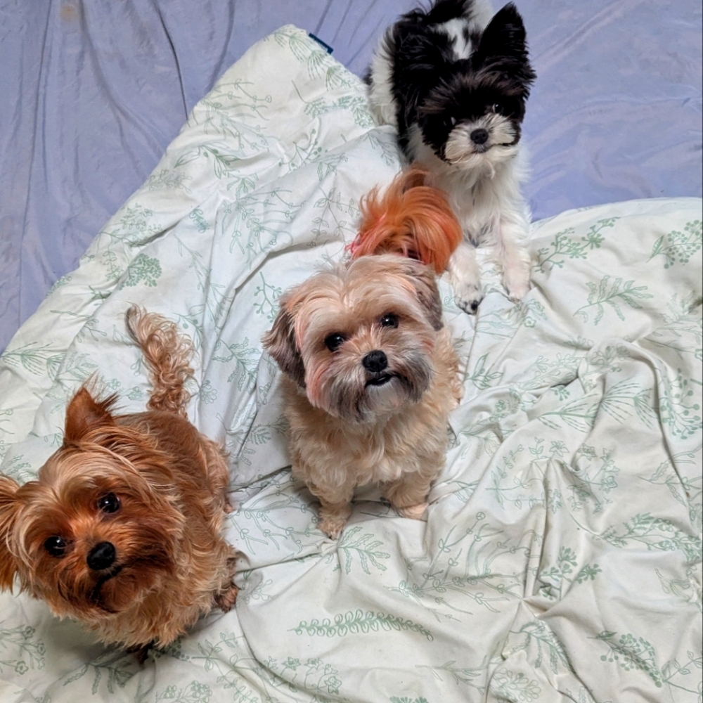 Meet your Posher, Christina